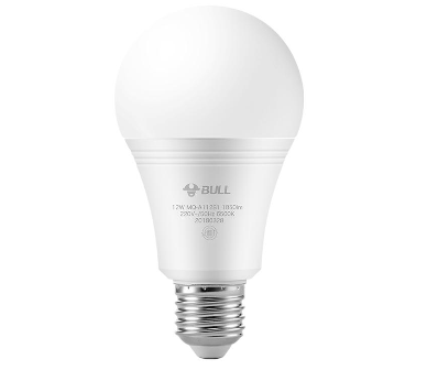 LED Bulb E27