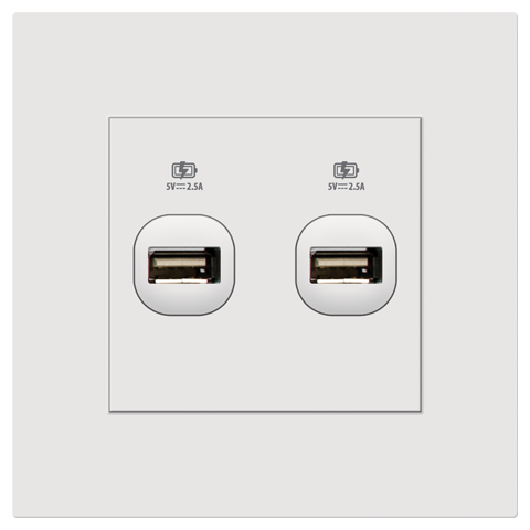 2 Gang USB Charge 2.5A
