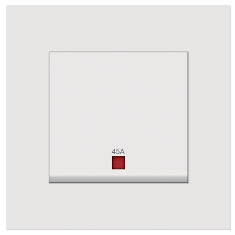 45A 1 Gang Double Pole Switch With Neon